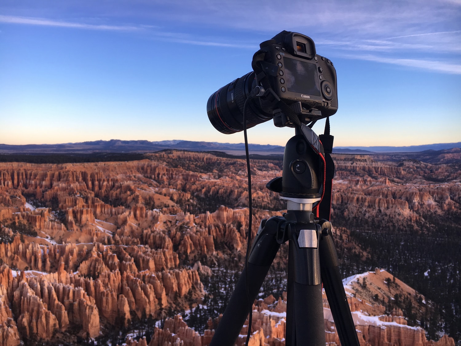 VAST photographer Nick Pedersen of the VAST artist collective