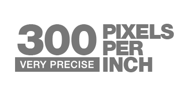 Logo for the 300ppi pixels-per-inch resolution that the VAST canvas prints photography product has.