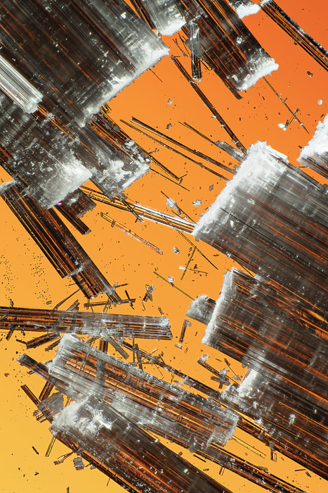 42 megapixels! A very high resolution artistic microscope photo; VAST photo created by Steph Mantis & Dan Piech.