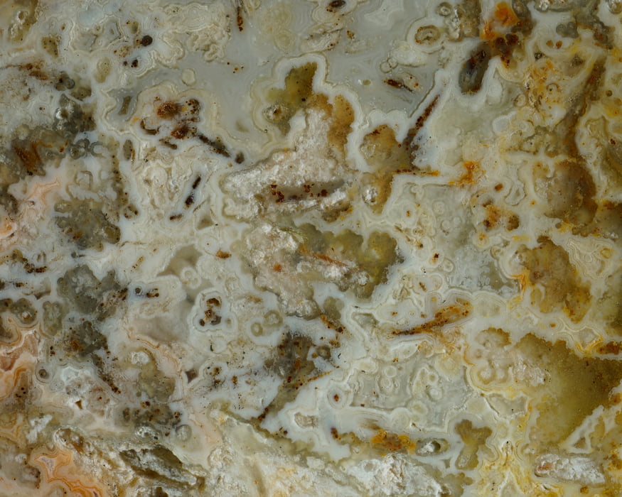 401 megapixels! A very high resolution microscope art photo; VAST photo and fine art print created by Steph Mantis.