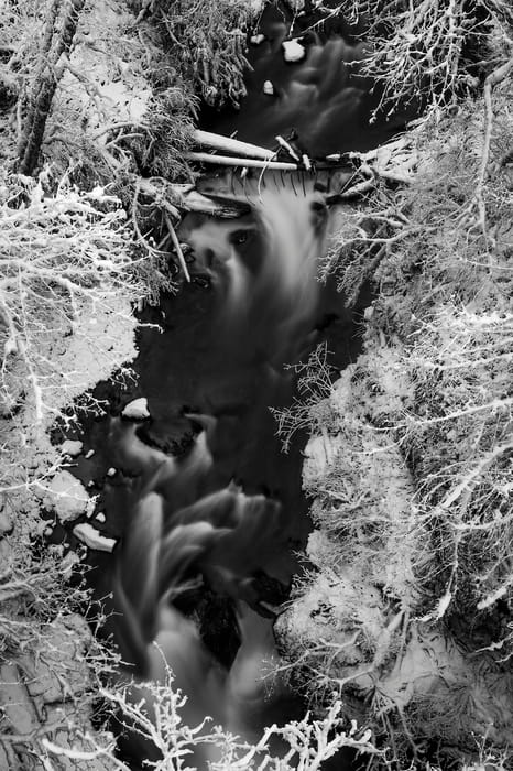 265 megapixels! A very high resolution, large-format VAST photo print of a winter forest with snow covered branches and a creek; fine art black & white nature photograph created by Scott Rinckenberger in Tokul Creek, Snoqualmie, Washington.