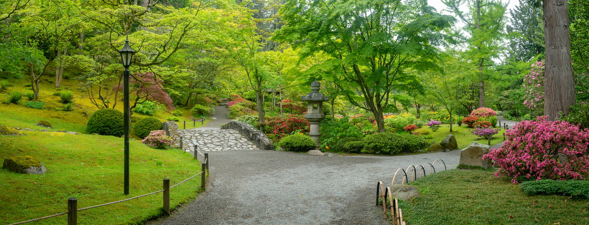 260 megapixels! A very high resolution, large-format VAST photo print of a botanical garden; photograph created by Greg Probst in Japanese Garden, Seattle.