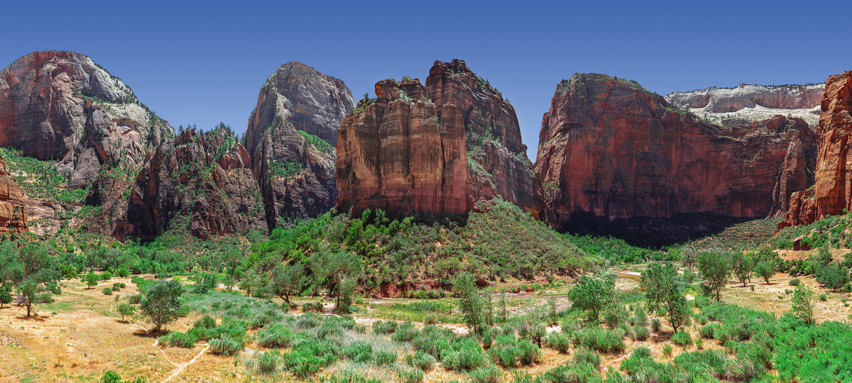 3,920 megapixels! A very high resolution, large-format VAST photo print of a rock wall landscape; photograph created by Chris Collacott in Zion National Park, USA.