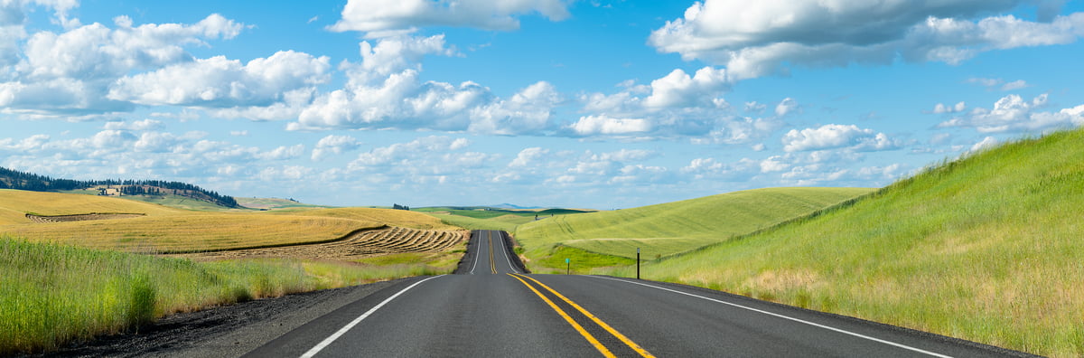 219 megapixels! A very high resolution, large-format VAST photo print of a road and rolling hills; landscape photograph created by Greg Probst in Palouse, Washington.