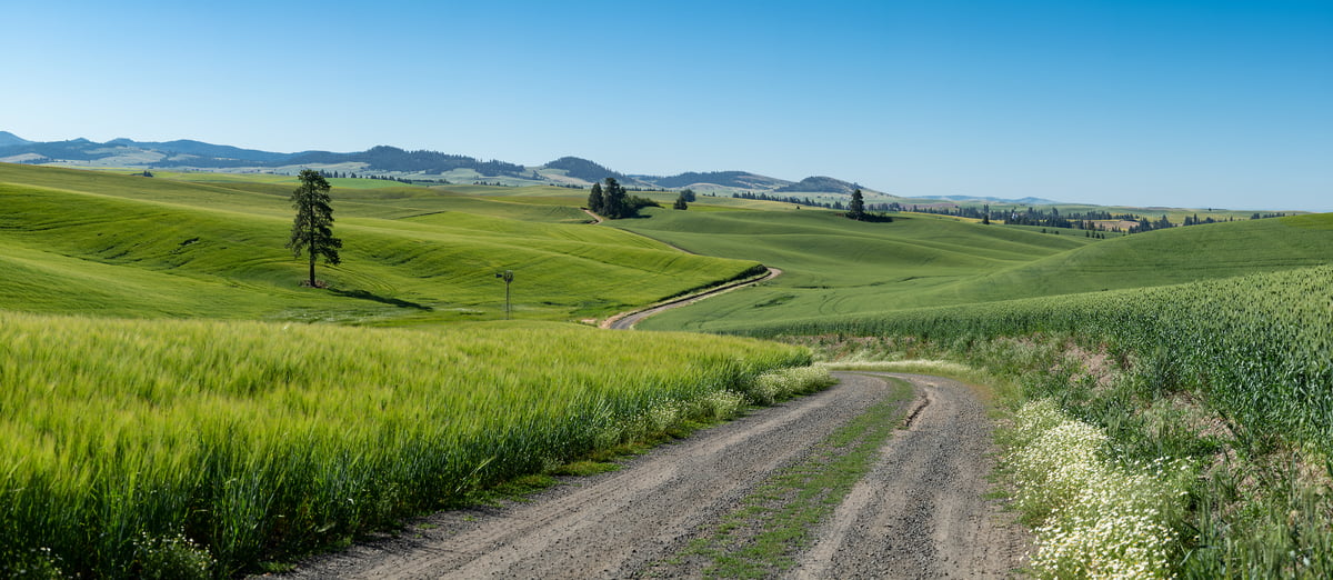 423 megapixels! A very high resolution, large-format VAST photo print of a road among hills; landscape photograph created by Greg Probst in Palouse, Washington.
