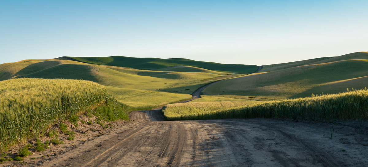280 megapixels! A very high resolution, large-format VAST photo print of a dirt road going through hills of wheat fields; landscape photograph created by Greg Probst in Palouse, Washington.