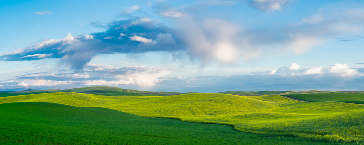 297 megapixels! A very high resolution, large-format VAST photo print of fields, hills, & clouds; landscape photograph created by Greg Probst in Steptoe Butte State Park, Washington.