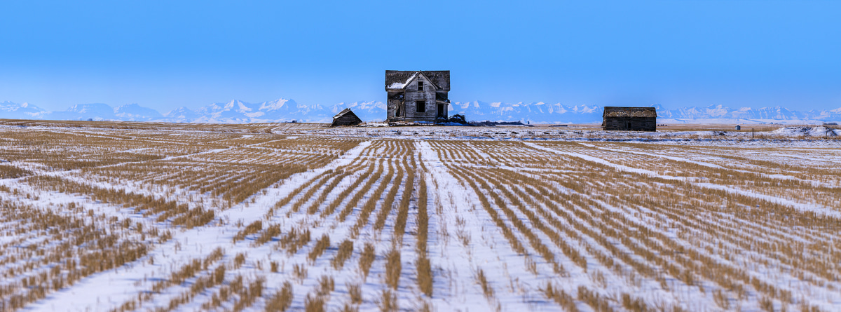 A very high resolution, large-format VAST photo print of an abandoned house in a field on a prairie; landscape photograph created by Scott Dimond in Foothills County, Alberta, Canada.