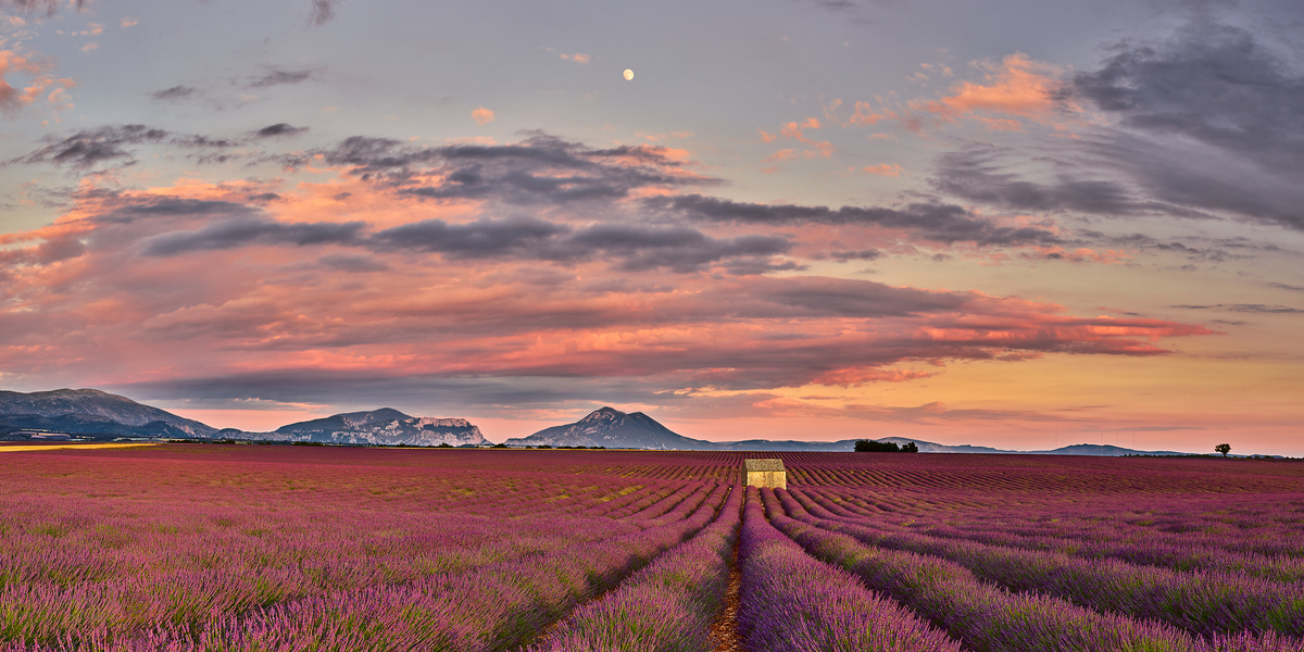 191 megapixels! A very high resolution, large-format VAST photo print of Valensole, France; landscape photograph created by David Meaux in Valensole Plateau, Valensole, Provence-Alpes-Côte d'Azur, France.