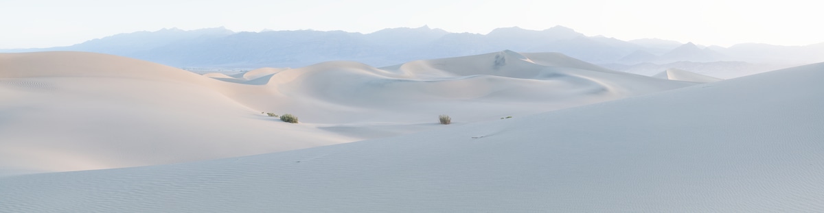 460 megapixels! A very high resolution, large-format VAST photo print of sand dunes; landscape photograph created by Greg Probst in Mesquite Flat Sand Dunes, Death Valley National Park, California.