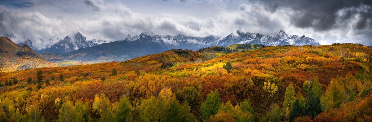 778 megapixels! A very high resolution, large-format VAST photo print of an autumn foliage landscape; photograph created by Jeff Lewis in Ridgway, Colorado.