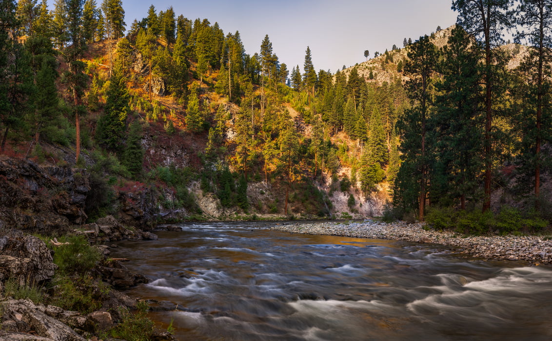 315 megapixels! A very high resolution, large-format VAST photo print of a stream in nature; photograph created by Phillip Noll in Middle Fork Salmon River, Idaho.