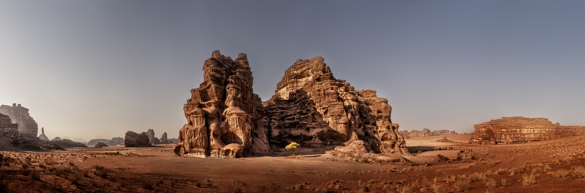 A very high resolution, large-format VAST photo print of a tree in the desert; landscape nature photograph created by Peter Rodger in Tabuk, Saudi Arabia.
