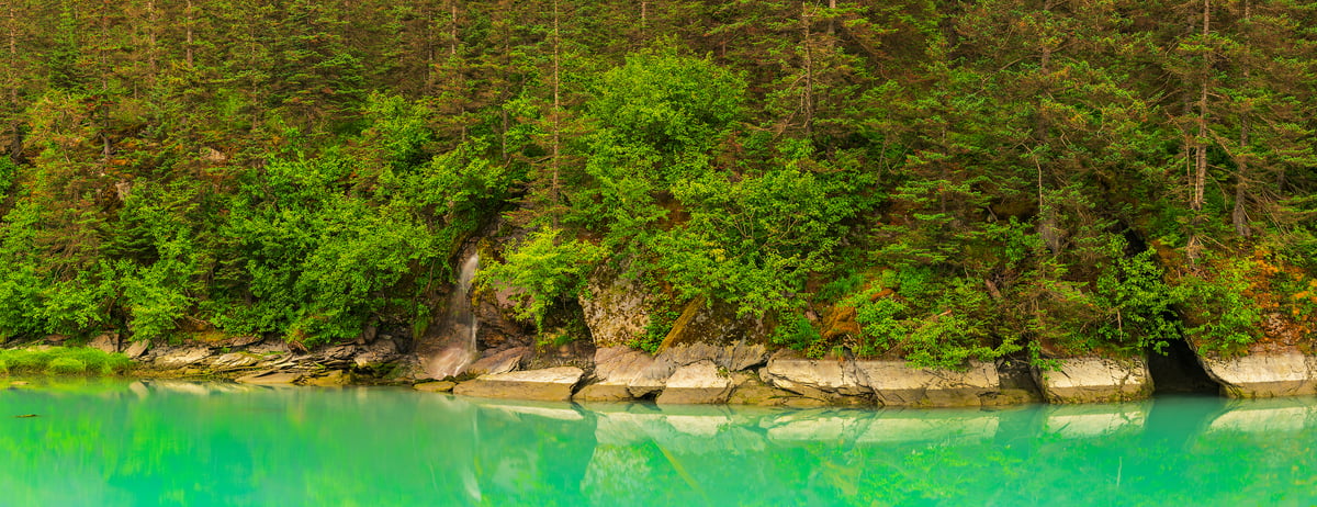 879 megapixels! A very high resolution, large-format wall mural photo print of a pond with green foliage and green water; nature photograph created by John Freeman in Port Valdez, Alaska, USA.