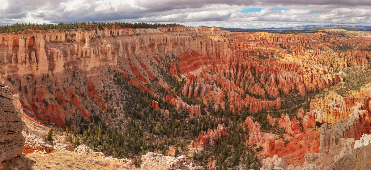 1,664 megapixels! A very high resolution, large-format VAST photo print of Rainbow Point at Bryce Canyon; photograph created by John Freeman at Rainbow Point, Bryce Canyon National Park, Utah.
