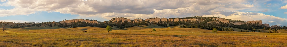 1,662 megapixels! A very high resolution, large-format VAST photo print of a pasture; photograph created by John Freeman in Fort Robinson State Park, Nebraska.