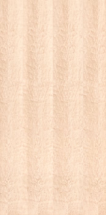 1,906 megapixels! An ultra-high-resolution texture photo file of oiled maple wood; gigapixel photograph created by David Lineton.