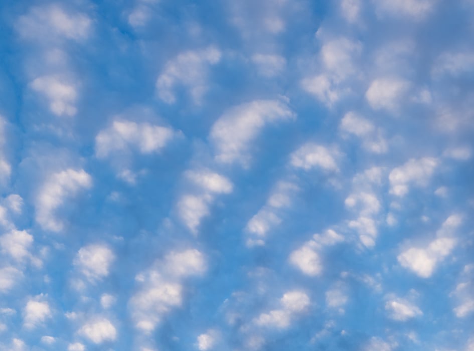 283 megapixels! A very high resolution, large-format VAST photo print of white puffy clouds backdropped by a blue sky, from the vantage point of someone looking up; sky photograph created by Greg Probst.
