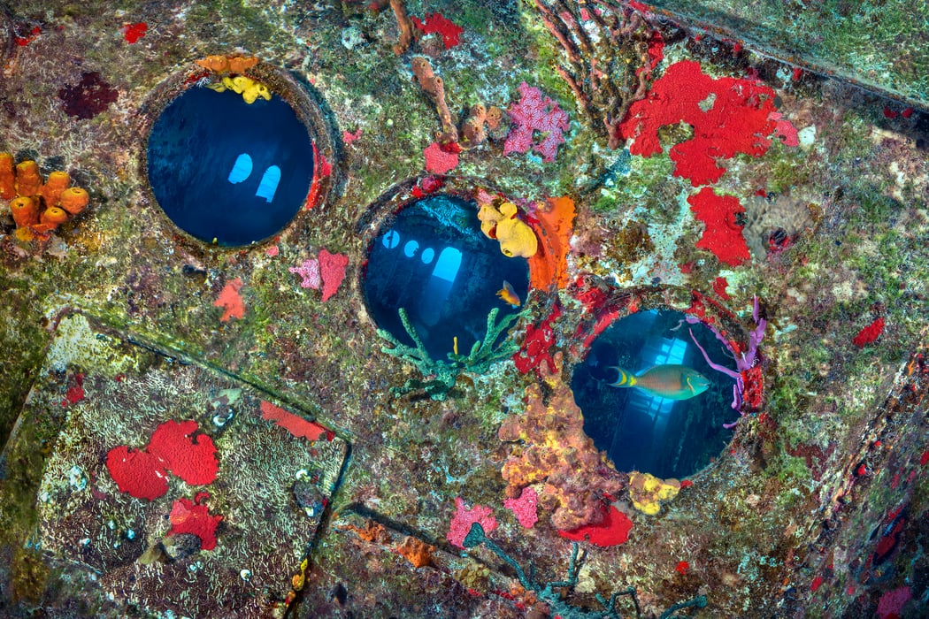 511 megapixels! A very high resolution, large-format VAST photo print of colorful coral growing on a shipwreck with fish swimming; underwater photograph created by Jim Hellemn in Kittiwake Wreck, Grand Cayman Island, Cayman Islands.
