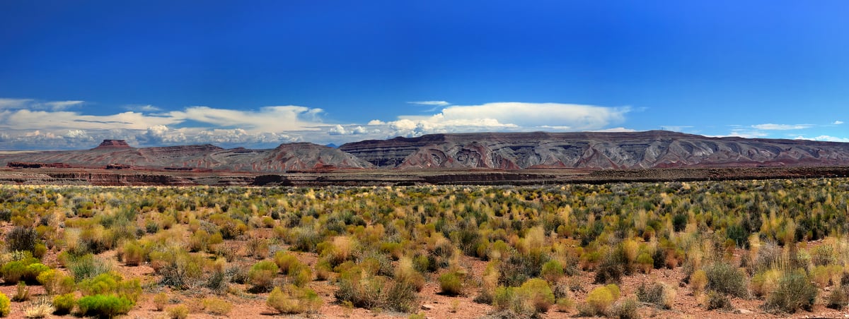 192 megapixels! A very high resolution, large-format VAST photo print of a landscape in Goosenecks State Park; photograph created by Phil Crawshay in Utah.