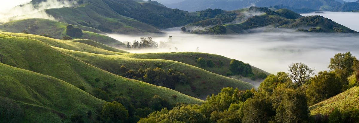324 megapixels! A very high resolution, large-format VAST photo print of rolling green hills with grass, trees, and fog in the valleys; landscape panorama photograph created by Jeff Lewis in Marin County, California.