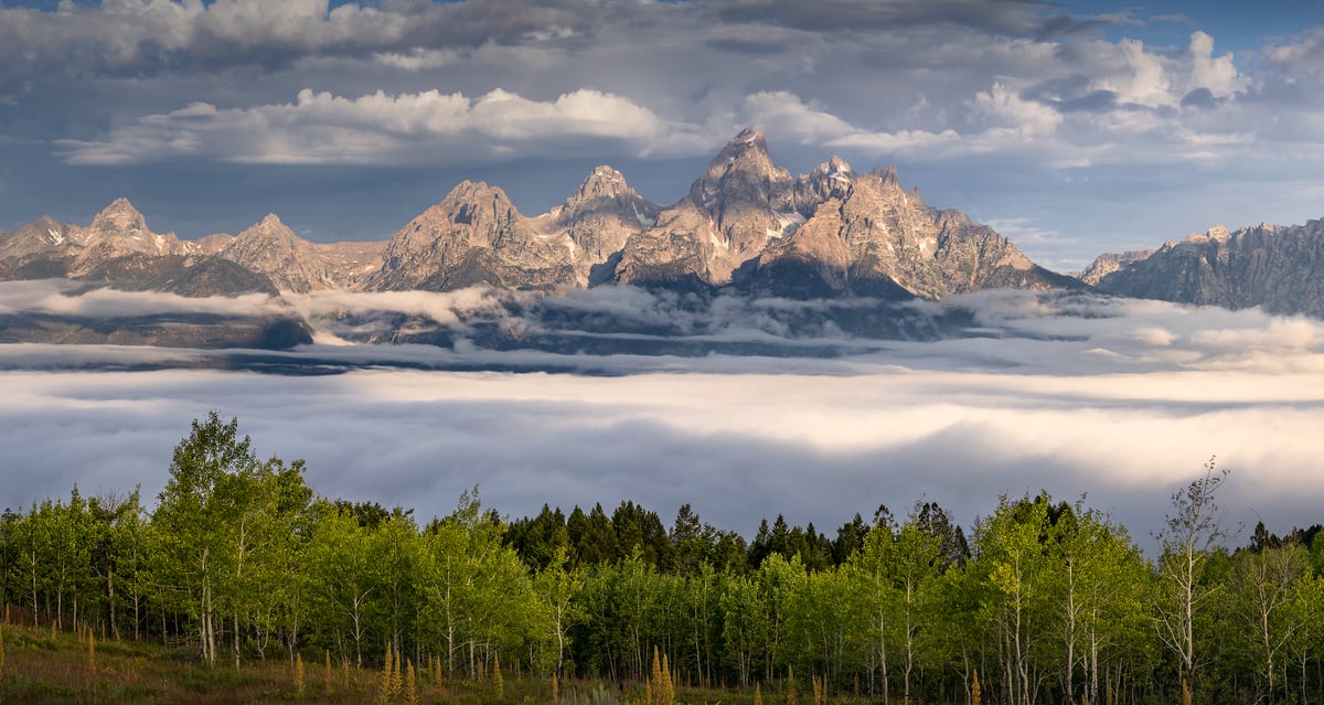 180 megapixels! A very high resolution, large-format VAST photo print of Jackson, Wyoming with the Teton mountains above a sea of clouds and a forest in the foreground; photograph created by Jeff Lewis.