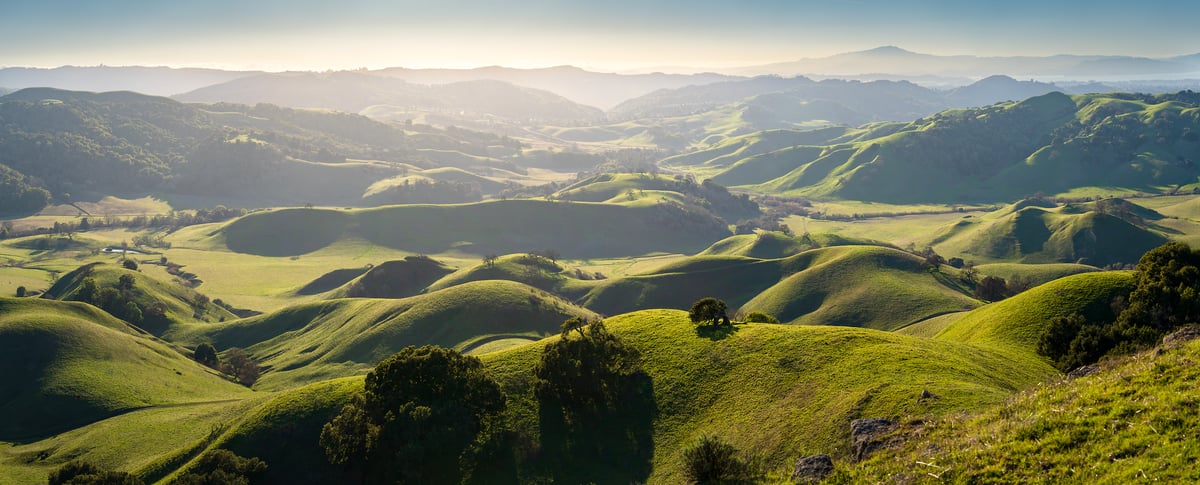400 megapixels! A very high resolution, large-format VAST photo print of a green landscape with rolling grassy hills in spring; landscape photograph created by Jeff Lewis in East Bay, California.