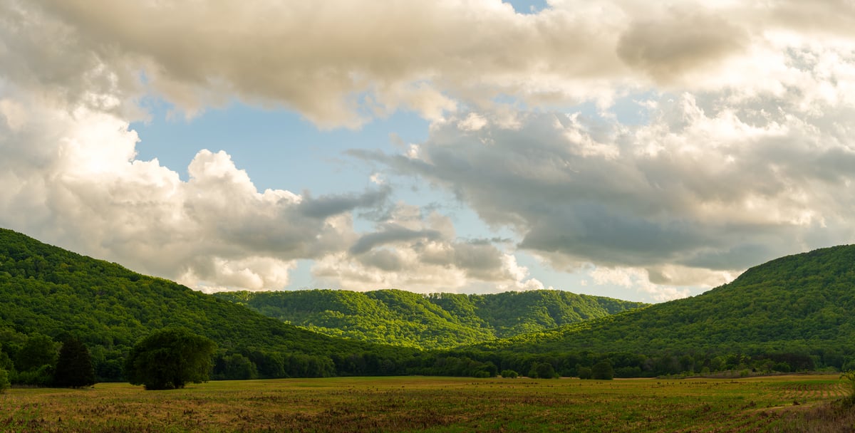 264 megapixels! A very high resolution, large-format VAST photo print of a field with a background of beautiful, forested hills; landscape photograph created by Jerred Zegelis in Newport, Georgia.