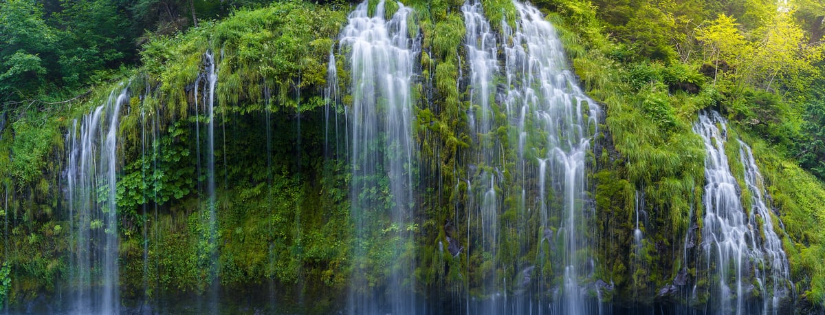 448 megapixels! A very high resolution, mural photo of a beautiful waterfall with delicate streams of water falling down a lush rock wall; nature mural photograph created by Jeff Lewis in Dunsmuir, California.