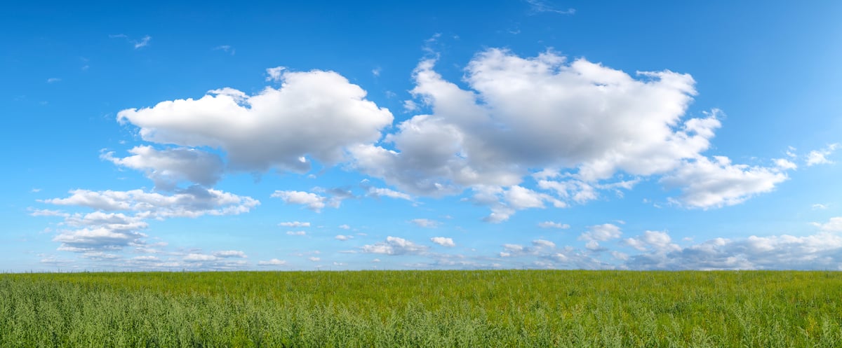 288 megapixels! A very high resolution, large-format VAST photo of green grassland under a blue sky with idyllic puffy clouds; landscape photograph created by Assaf Frank in St Albans, United Kingdom. Available for digital download with a license.