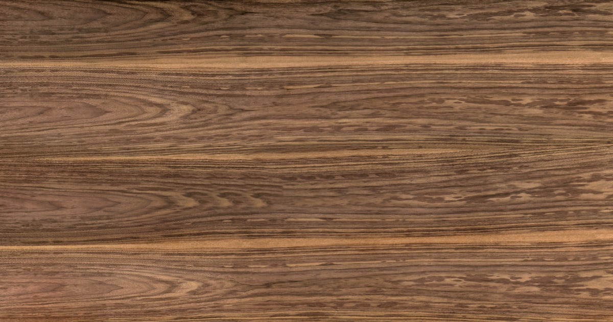 3,341 megapixels! A very high resolution texture photo of american black walnut veneer; gigapixel image available to be licensed and downloaded as a digital file from VAST; photograph created by David Lineton.