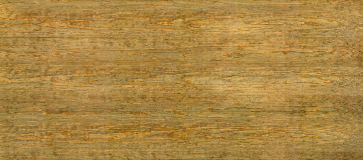 3,095 megapixels! A very high resolution texture photo of green washed oak wood; gigapixel image available to be licensed and downloaded as a digital file from VAST; photograph created by David Lineton.